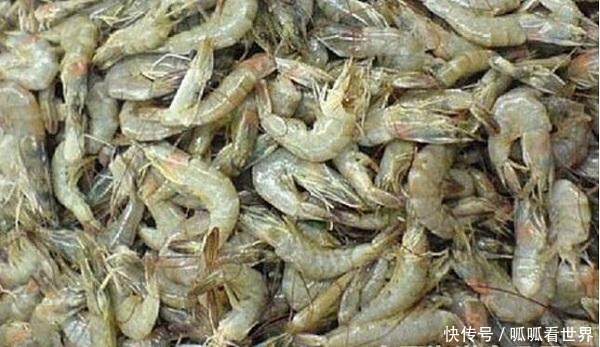 农村一小河里出现许多“漂浮物”，细看后引起附近农民赶来抢捞！