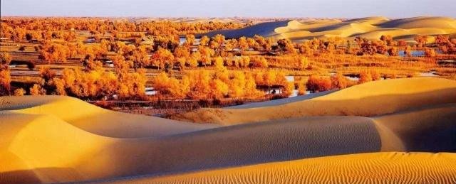 中国死亡之海修建一条致富路，堪称奇迹工程，20年绿化救活死海