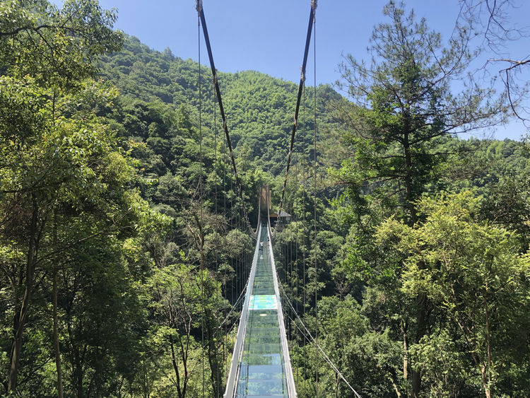 安徽名字最“土”的景区，拥有安徽首个5D玻璃桥，网友：接地气！