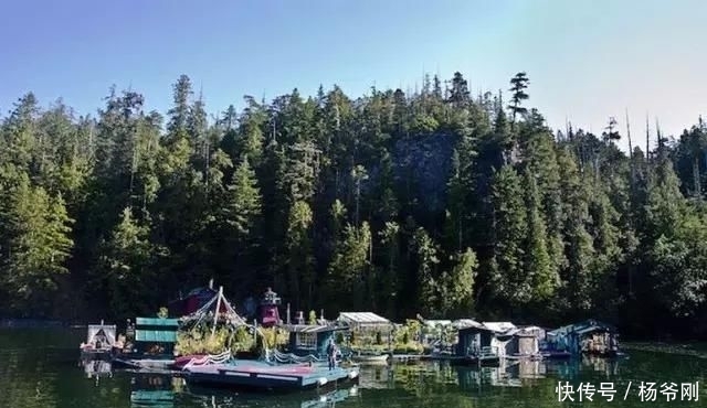  蔬菜：下半生，和爱的人一起养花种菜可好