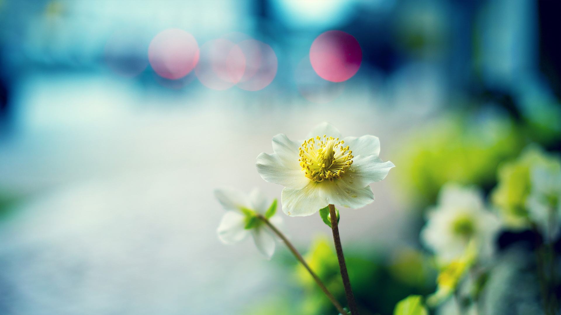 40句话经典语录:既往不恋,当下不杂,未来不迎。