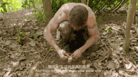 在蝎子和眼镜蛇横行之地，这位“现代鲁宾逊”吃的真香