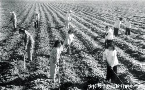  拍摄■外国人拍摄的70年代中国老照片想不到70年代的人们是这样