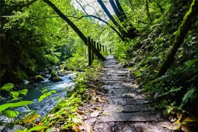 成都近郊一个小城，藏着7个耍水圣地，还全都没有门票！