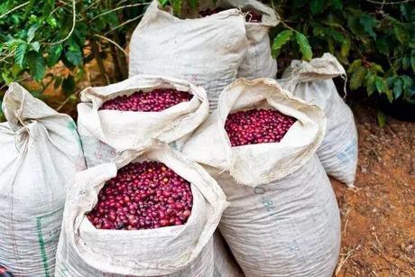 如何判别咖啡豆是否新鲜,看看这