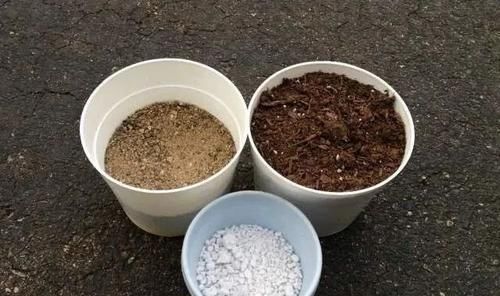 「盆土」养花的盆土自己配，还是直接买来用，哪种土对植物好？