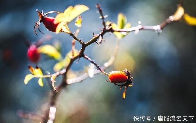  [好处]对俗人来说，修佛的最大好处是什么？｜佛典读解