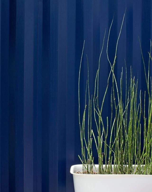 “麻雀虽小五脏俱全”的精品集装箱民宿，是不是也想拥有一个呢？