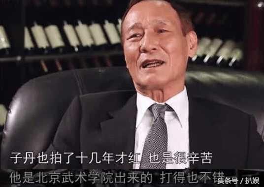 甄子丹的实战能力如何呢?袁和平评价最实在,陈