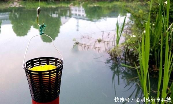#常用#清明过后鲫鱼应该这样钓,几个常用老套路,让你轻松钓到的大鲫鱼