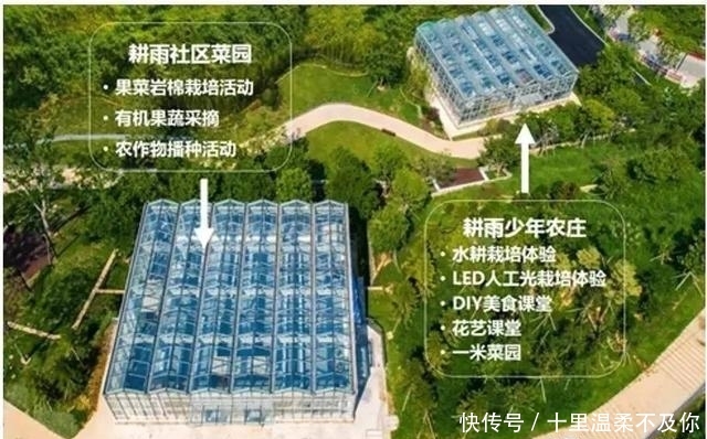 这个地方与巽寮湾隔海相望，被称为东方夏威夷，却少有人知道