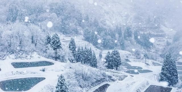 日本推荐！冬季一定不能错过的雪天绝景