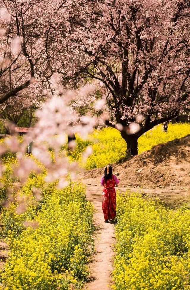  #适合#10个最适合女人旅行的地方，好像仙境在人间