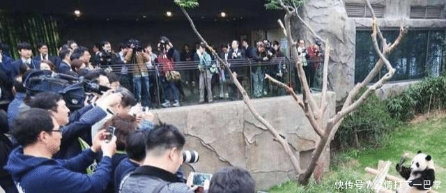 当年大地震，此国向中国捐款最多，为何中国的女游客却不敢去