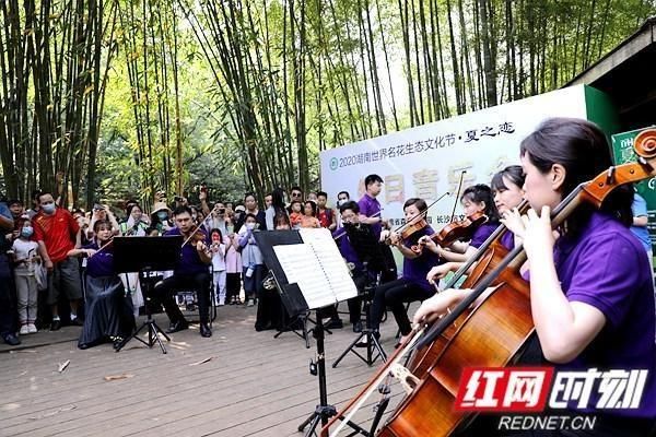  【植物园】湖南规模最大、花色最全的绣球花展，正在初夏绽放