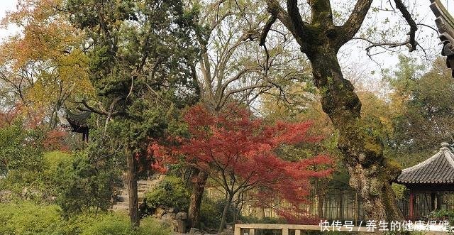 苏州拥有7成的太湖水域，为何无锡“太湖牌”打得更响亮