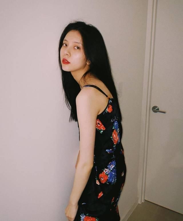  先抱@这些让春天变得更美丽的它们，我先抱走了！