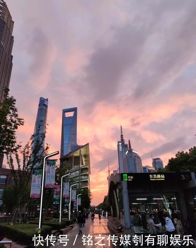 平均气温大于22℃:昨天,上海因为它登上热搜!美到窒息……