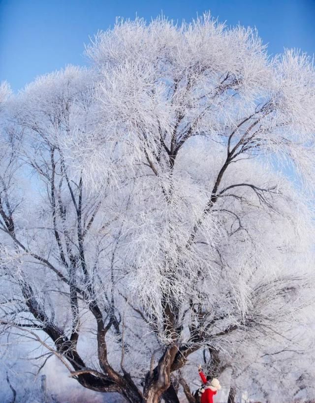 全世界最美的50个地方:我愿赚点小钱,余生一定走遍