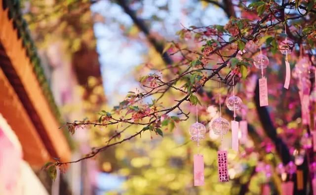 这几个地方景色太美还免费，网友大呼：辞职也要去看看