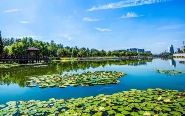  gdp■河南两大城市，许昌与周口GDP对比，哪个更有潜力？