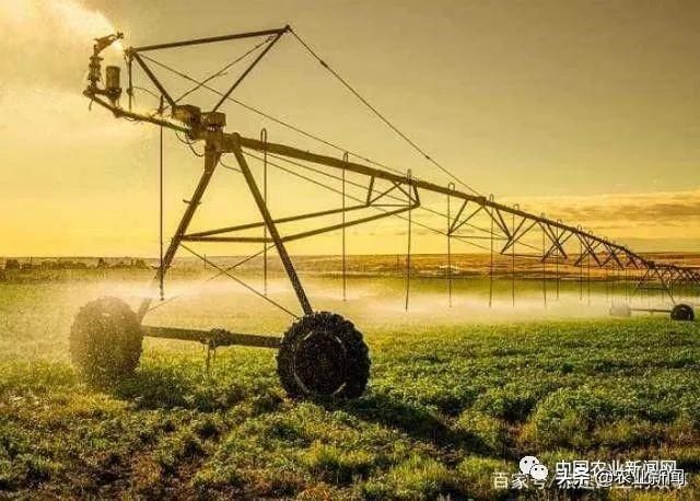 为什么日本地方不大，农业还会被人们称赞？看当地果园就知道了