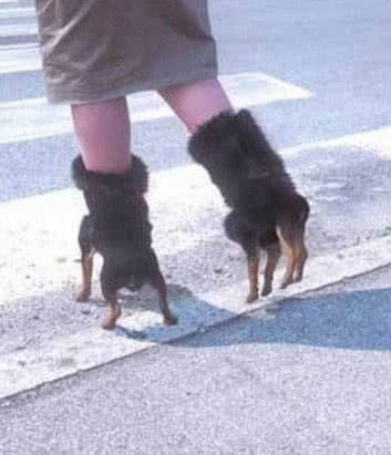 最奇葩的几款鞋子：图2最省钱，图4丧心病狂，最后一个你绝对爱不