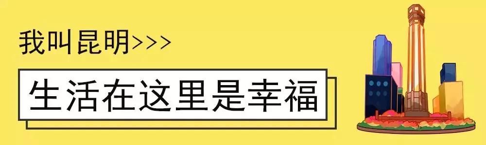 大局已定！2019中国城市发展潜力排名新鲜出炉！昆明位列第28名！