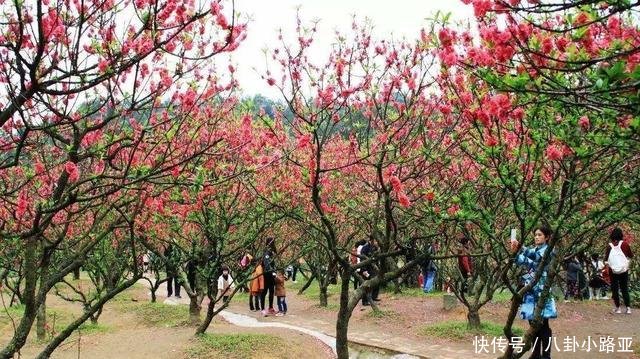 中国综合实力第二镇GDP预计达千亿，让不少小城市无地自容