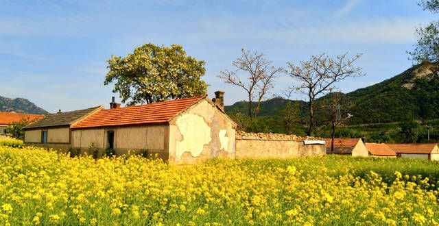 山东最穷的10个县，你的家乡拖后腿了没？