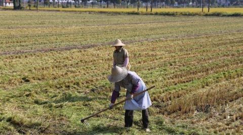  道理|“五十不交钱，六十不交言”，这些农村俗语说得太有道理！