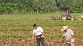  【承包】为什么现在一些老板喜欢到农村租地，而且要30年以上的