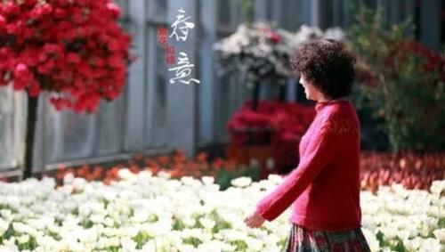  彼岸花：繁花似锦：朦胧美衣彼岸花！DIY手织毛衣，附图解教程！