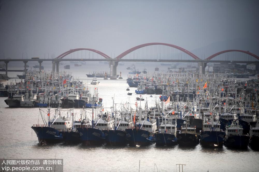 浙江舟山:千艘渔船归港备战台风 安比 _【快资