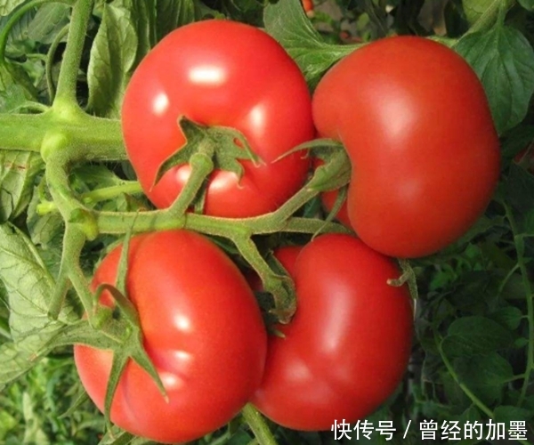 『维他命C』这5种水果是逆龄食物,不仅抗衰老,还能美容养颜,你吃对了吗