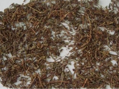  [发现]乡下一种野草，以前用来止血消肿，现在发现是一种珍贵药