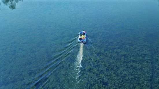 平谷区@?生态抓手让平谷从“如何是好”到“洳河是好”