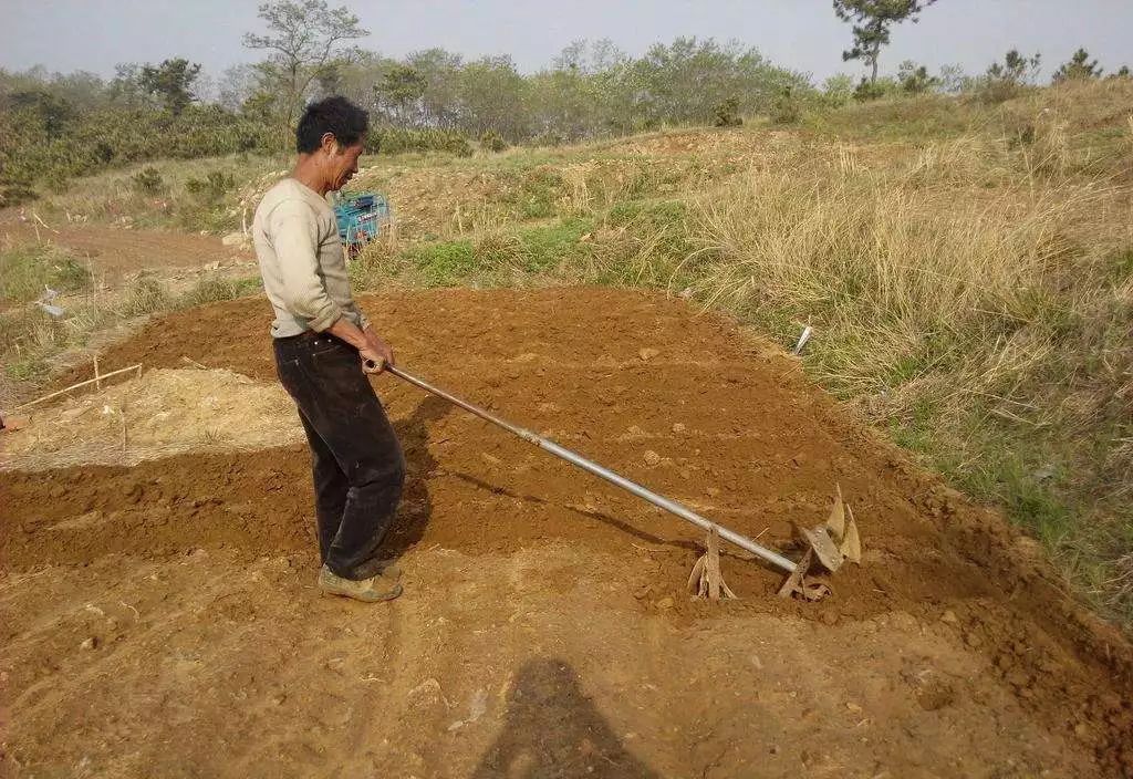 七月|农村俗语“七月蜂八月蛇，九月黄鳝惹不得！”农民干农活可
