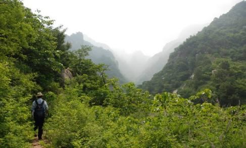 想去旅游又怕被宰？这处景点不仅免门票，物价还和景区外的一样！