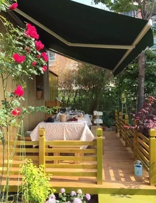  小院：不争朝夕，只闻花香，她花费12年缔造了一座繁花小院