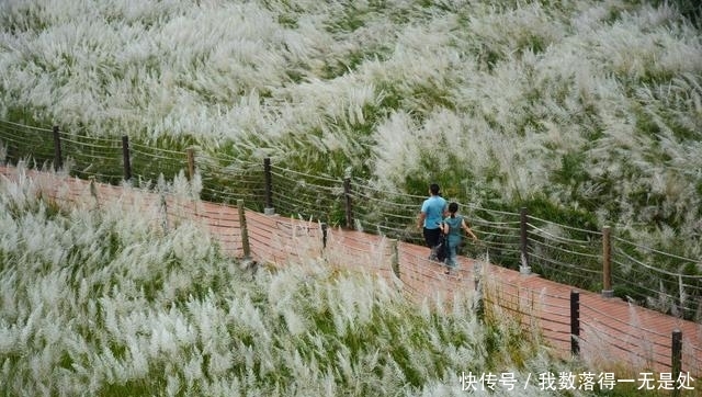 中秋节离城区最近的打卡地，不收门票早晚人很多，你想去看看？
