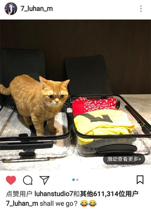 宋茜1次秀5个大牌包？2万块透明行李箱成明星“带货广告箱”！