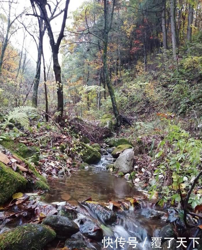  「无人区」河南有一处名副其实的无人区，就在三门峡这里，你去