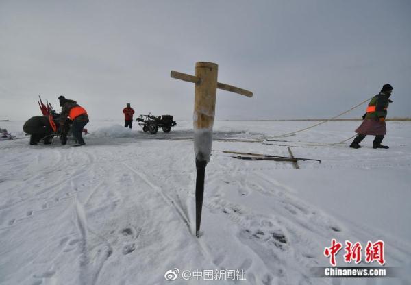 凿冰开眼踏雪寻鱼！新疆乌伦古湖冬季大拉网捕鱼场面壮观