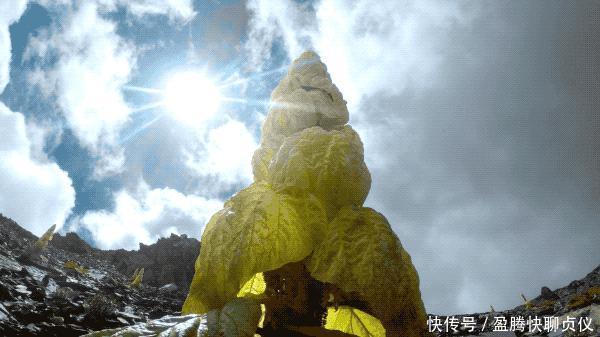 这部纪录片央视发力了,每一帧都可以当壁纸,BBC也无法超越