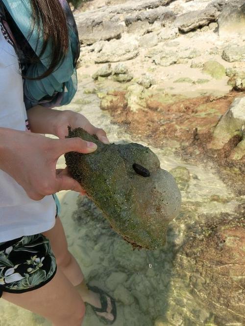 水清沙白的他乡——三亚。