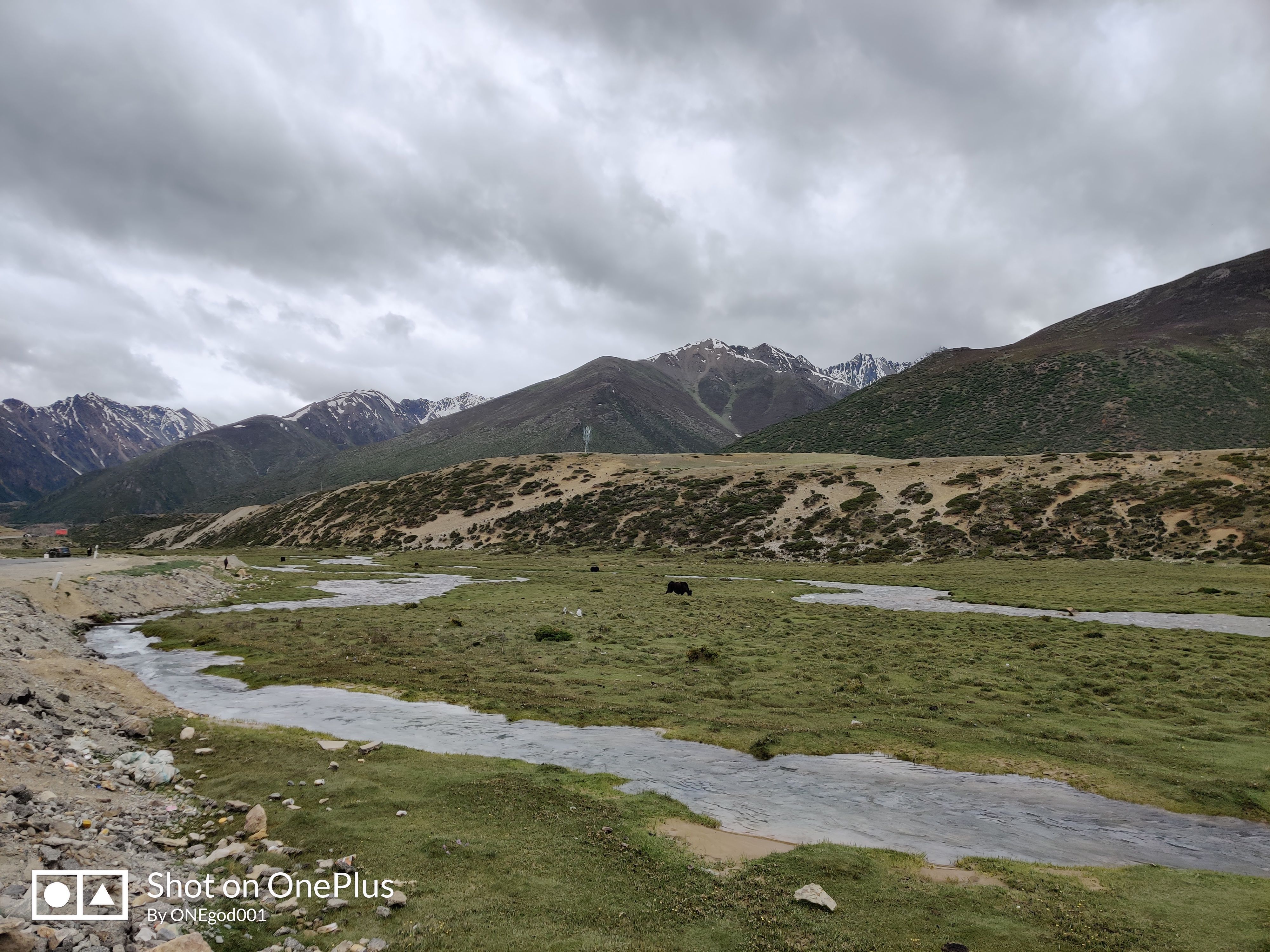 川进青出，十五天三省，318全线，冰川、湖泊、雪山探秘之旅。