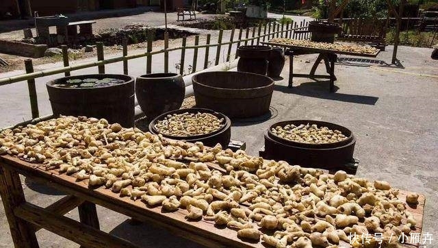 这种药材，市场很少见，农村种植，一亩可赚5万左右！