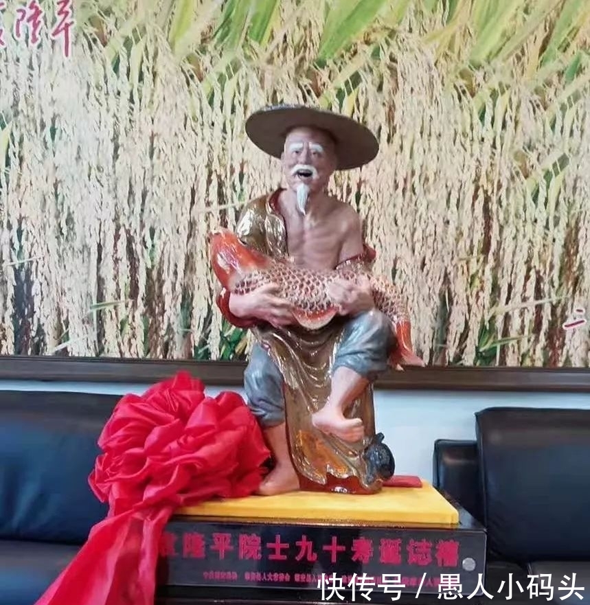  贺寿：家乡县长跨省赴湖南，为袁隆平贺寿