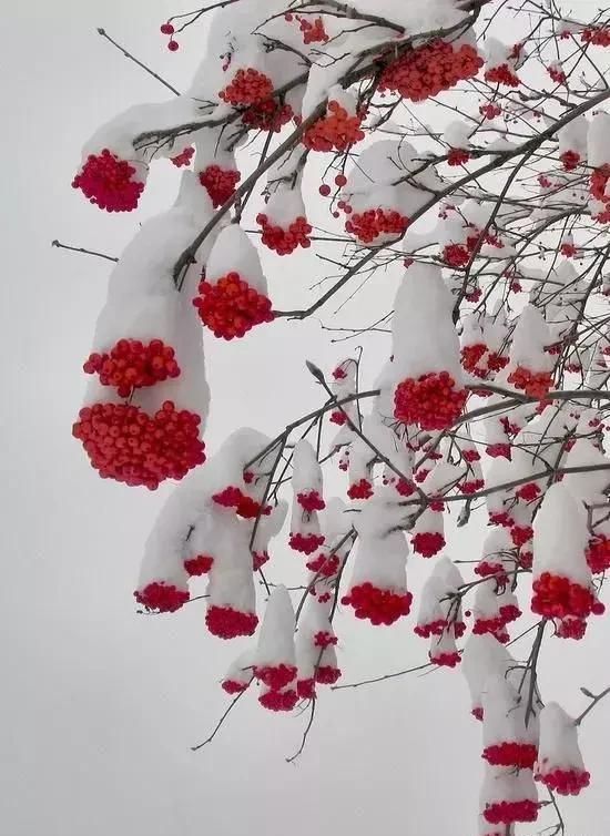 太壮观!这一辈子见一次值了!轰动世界!